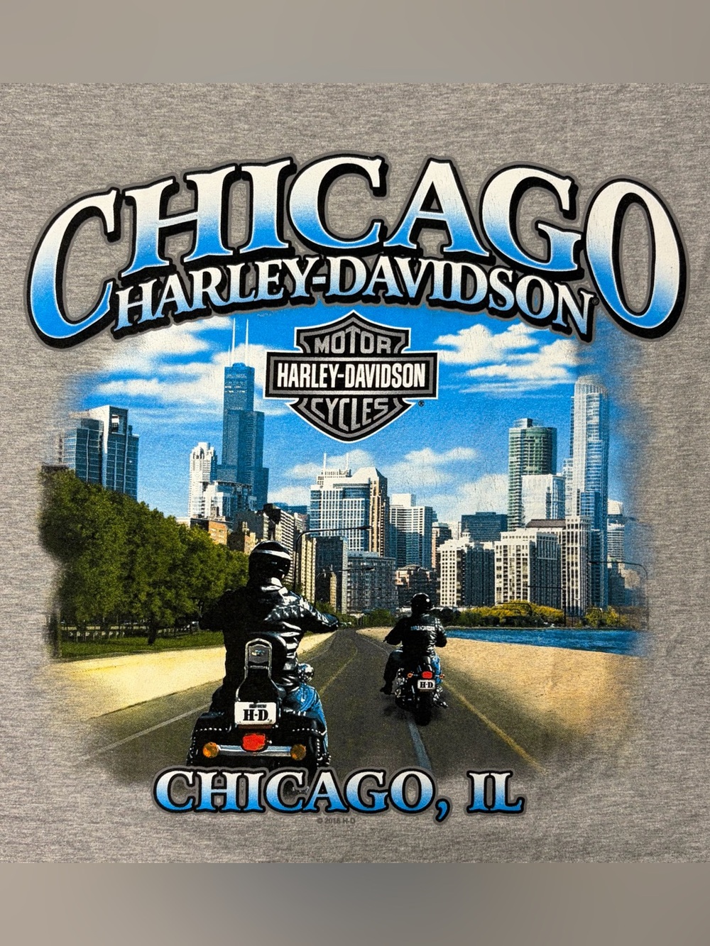 Harley Davidson Chicago T Shirt Size 2XL Skyline State Flag Biker Motorcycle